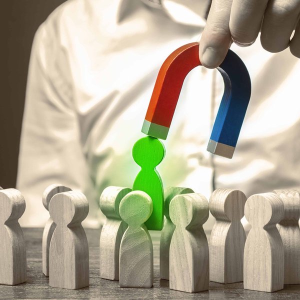 Comment les corbeaux sélectionnent-ils leurs partenaires pour la vie ?