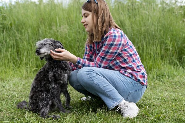 Adoption d'animaux : Explication, avantages et conseils